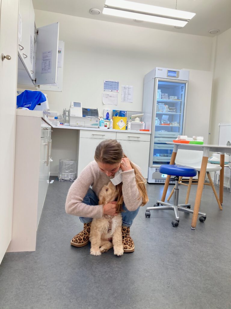 Lotta kuschelt mit Kind in Kinderarztpraxis tiergestützte Begleitung bei Angst